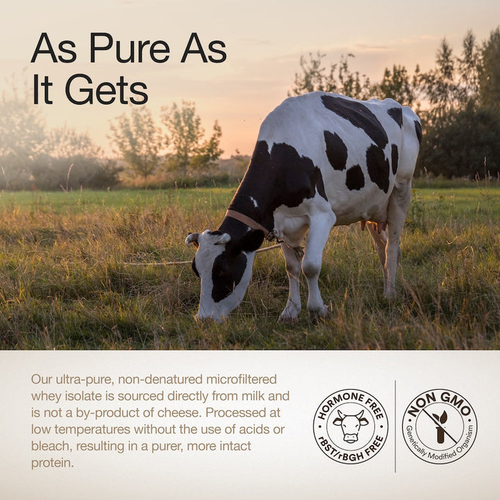 Whey Protein Isolate 1 KG | 4B CFU Probiotics | Dark Chocolate