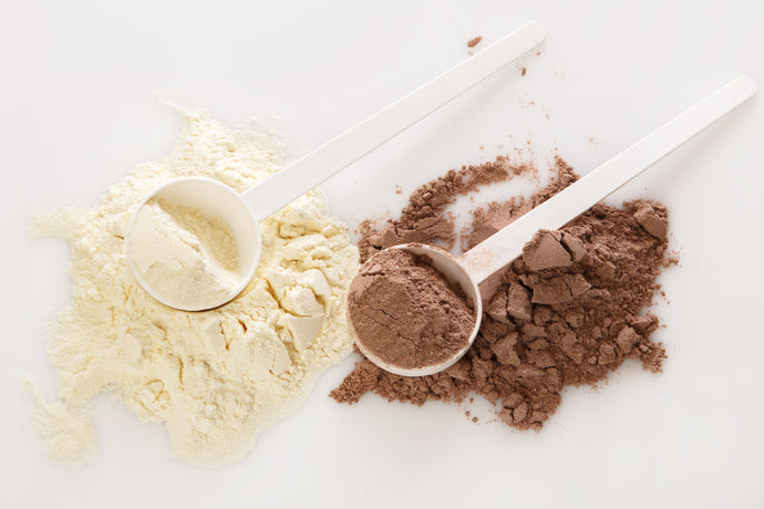 Questions to Ask When Shopping For Your Favorite Protein Powder